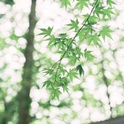 开全站登录app下载手机版