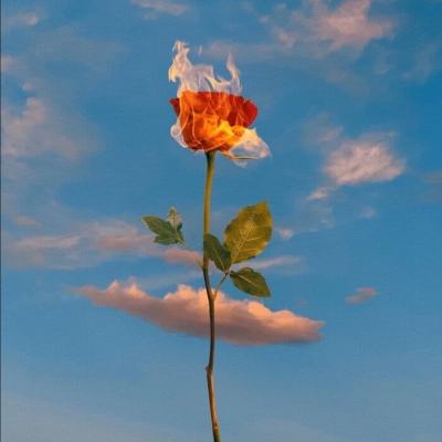 ayx在线登录入口